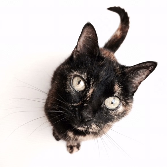 🌵 - Picture 7 of 8